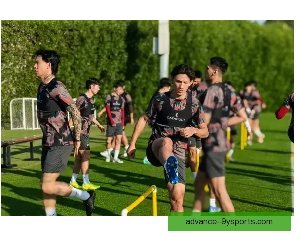 欧洲杯激战正酣，国家队新星表现引发球迷热议